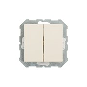 Двухклавишный выключатель LIREGUS Эпсилон