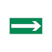 Пиктограмма для аварийно-эвакуационного светильника vault VARTON V5-EM03-60.013.013