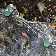 Садовые крепежные гвозди Мультидом 15 см, 4 шт.