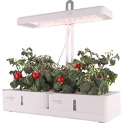 Гидропонная установка CACTUS Garden