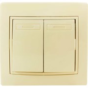 Двухклавишный выключатель Jilion 9533137