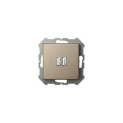 Розетка LIREGUS Эпсилон IUK-2-01 E/Ch