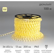 Светодиодный дюралайт Neon-Night 121-256