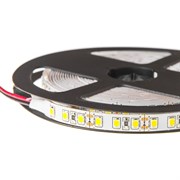 Лента светодиодная Elf ELF-600SMD2835NWw6K-24