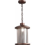 Уличный подвесной светильник St Luce SL080.403.01