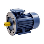 Электродвигатель ТМ БЭЗ АИP 160S2 IM2081