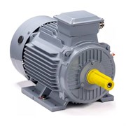 Общепромышленный электродвигатель ESQ PR 100 S2 GST-Б1-S12-IE2