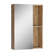 Шкаф-зеркало Домино Craft 50