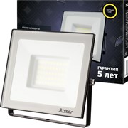 Светодиодный прожектор Ritter Profi