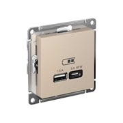 Песочный розетка usb Systeme Electric ATN001229