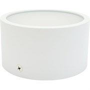 Потолочный светодиодный светильник Lightstar 211916