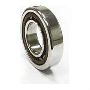 Подшипник DINROLL NKI95/36