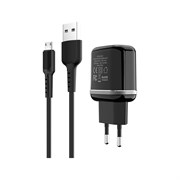 Сетевое зарядное устройство Borofone ba25a outstanding