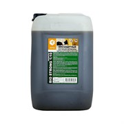 Биозащитный состав для древесины APIS Strong-bio