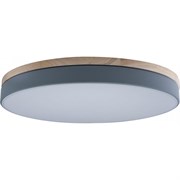 Накладной светильник LOFT IT Axel