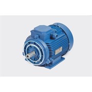 Электродвигатель МЭЗ у2-220/380-50im2181-р.к.в.