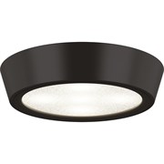 Потолочный светодиодный светильник Lightstar 214974