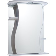 Зеркало-шкаф MISTY Лиана - 55