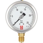 Манометр BD ДМ 2 100 Р