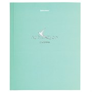 Дневник 5-11 класс 48 л., твердый, BRAUBERG, фольга, с подсказом, "Aspiration", 107199