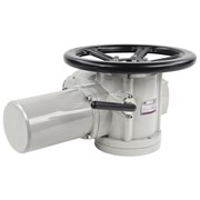 Многооборотный электропривод DN.ru MTG-300-220