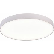 Накладной светильник St Luce ST606.542.96