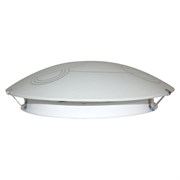 Светильник ЭЛЕТЕХ Галактика 300 НПБ 01-2х60-139 М16 ИУ