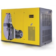 Винтовой компрессор COMPRAG D-9008