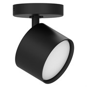 Настенно-потолочный светильник FERON ML211