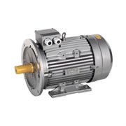 Электронный двигатель oni ONS132-B4-009-2-1521