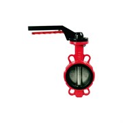 Затвор поворотный DYARM -ZP-050-16-G-G-E-HT