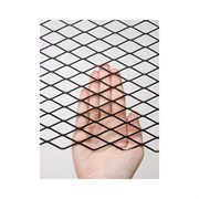 Стальная неокрашенная cетка просечно-вытяжная Фабрика сеток "Железный слон" лофт