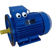Электродвигатель ЭМШ AIS132М1-6У1