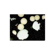 Микс ионообменная смола Ecvols Cortex B30