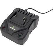 Зарядное устройство TRUEGREEN TG8M248
