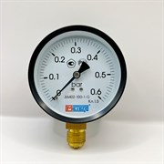 Манометр Метер ДМ 02-100-1-G