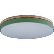 Накладной светильник LOFT IT Axel