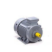 Общепромышленный электродвигатель ESQ PR 250 M2 GST-Б1-S12-IE2