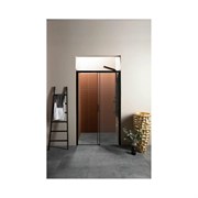 Душевая дверь Aquanet Pleasure AE60-N-160H200U-BT 160