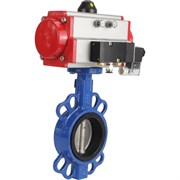 Затвор DN.ru wcb-316l-nbr