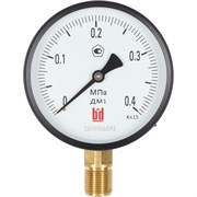 Манометр BD ДМ 1 Т2 100 Р
