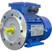 Электродвигатель ТМ БЭЗ АИР 56A2 (Ал) IM2081