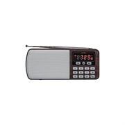 Цифровой радиоприемник Perfeo ЕГЕРЬ