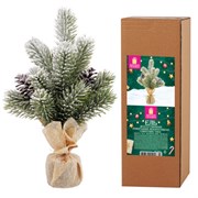 Ель новогодняя искусственная настольная 25 см, заснеженная, с шишками, литой ПЭТ, ЗОЛОТАЯ СКАЗКА, 592010