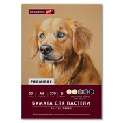 Бумага для пастели ФАКТУРНАЯ А4 в папке, 20 листов 5 цветов, 270 г/м2, BRAUBERG ART,, 117755