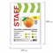 Папки-файлы перфорированные А4 STAFF "ЭКОНОМ", КОМПЛЕКТ 100 шт., матовые, 25 мкм, 226828 - фото 11057511