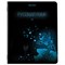 Тетради предметные, КОМПЛЕКТ 12 ПРЕДМЕТОВ, 48 листов, глянцевый УФ-лак, BRAUBERG, "DARK", 404028 - фото 13118950