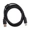 Кабель Cablexpert CCF-USB2-AMBM-6 - фото 14748140