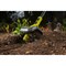 Культиватор Ryobi ONE+ RY18CVA-0 - фото 14927725