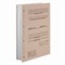 Крышки переплетные картонные А4 305х220 мм, КОМПЛЕКТ 100 шт. (обложка "Дело" - 50 шт., задник - 50 шт.), 112163 - фото 15054100